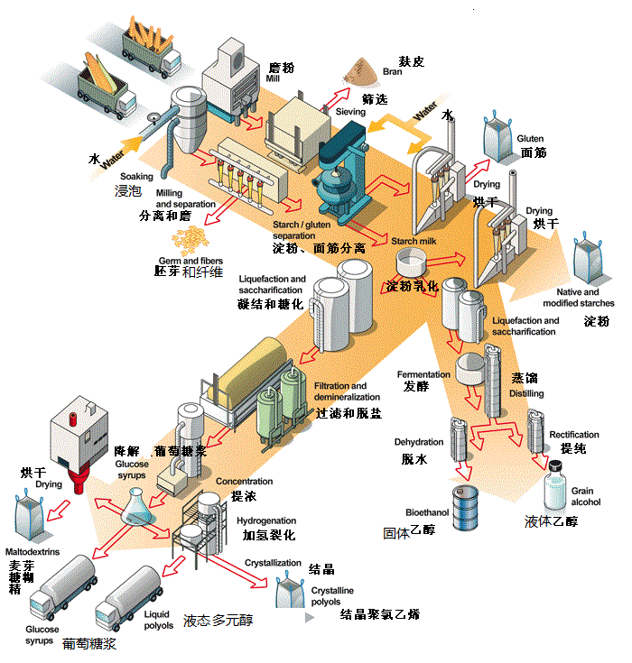 河南億德集團(tuán)響應(yīng)國(guó)家政策要加強(qiáng)玉米深加工需求調(diào)控